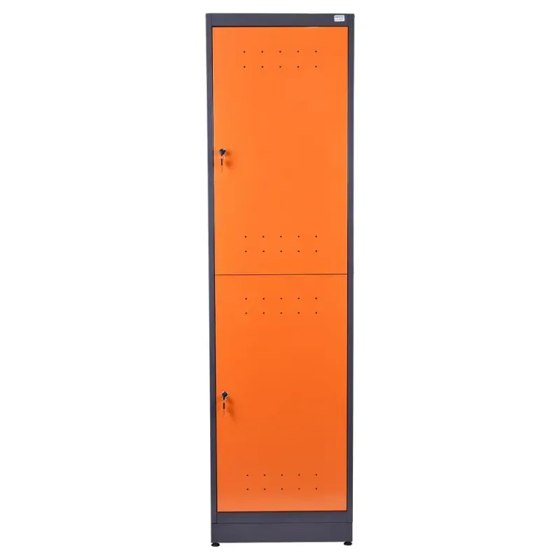 Armario-Vestiario-NR-24-2-Portas-Basic-Biccaplast-2146-Presto