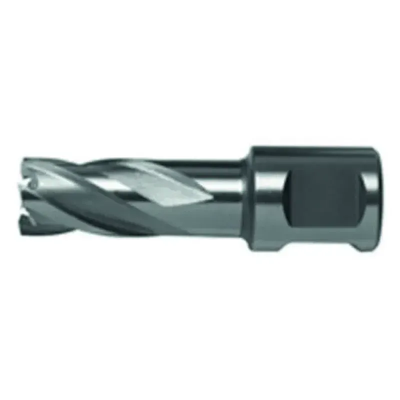 Broca-Anular-com-Encaixe-Weldon-24mm-Dewalt