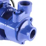 Motobomba-Periferica-1-CV-ICS-100AB-Eletroplas---127-220V