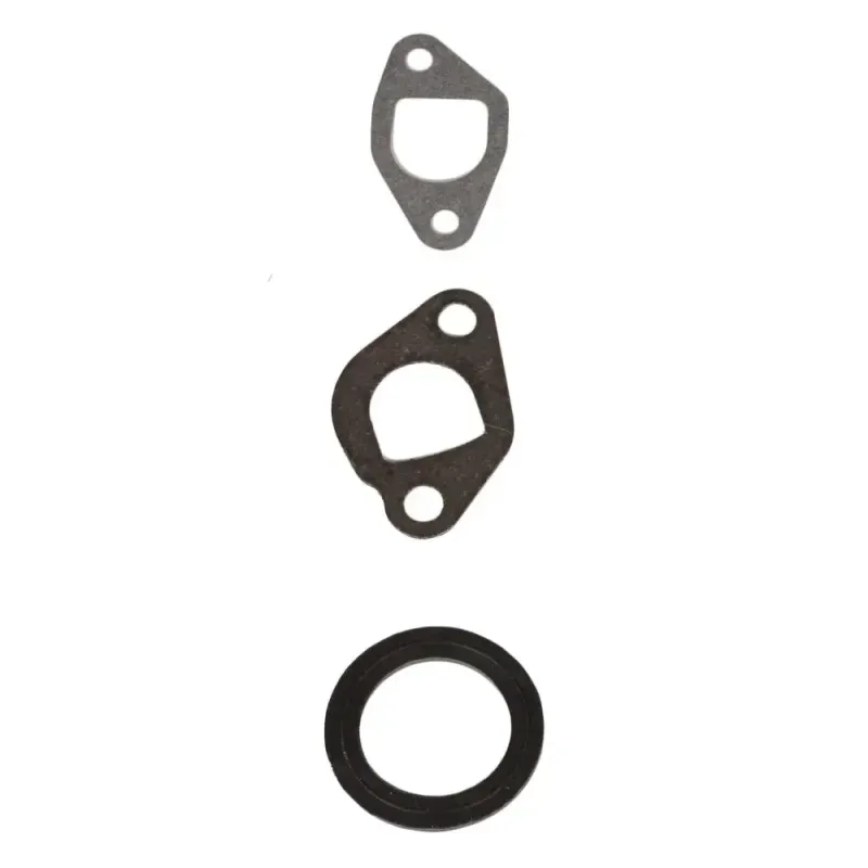 Kit-De-Juntas-Para-Carburador-Do-Motor-Tg55fx-Toyama-–-11-Pecas
