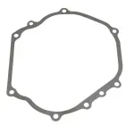 Kit-De-Juntas-P--Carburador-Do-Motor-Tg130fx-Toyama-–-12-Pecas