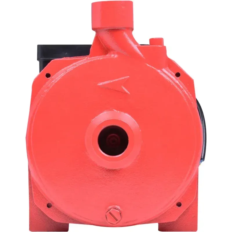 Bomba-D’Agua-Centrifuga-com-Chave-Seletora-1”-370W-Biv-Worker