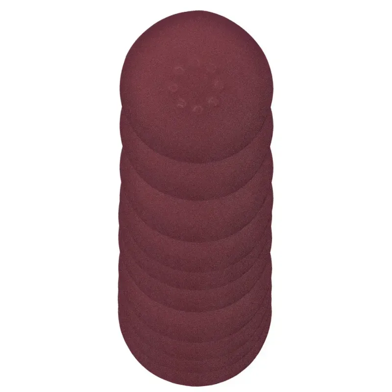 Lixa-Disco-Para-Lixadeira-225mm-10-Pecas-Grao-60-Wbr