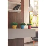 Conjunto-de-cachepos-vasos-para-flores-Mimmo-4-pecas-17-L-Tramontina-78125709