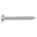 Parafuso-Autoatarraxante-48-x-38mm-10-Pecas-Worker