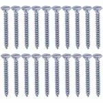 Parafuso-Cabeca-Chata-Zincado-32x25mm-20-Pecas-Worker