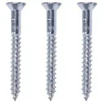 Parafuso-Cabeca-Chata-Zincado-61x65mm-3-Pecas-Worker