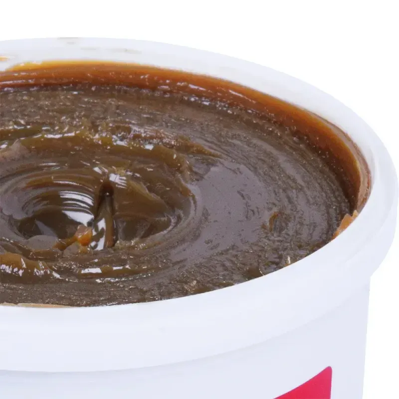 Graxa-Ca2-Alta-Performance-500G-Worker