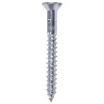 Parafuso-Cabeca-Chata-Zincado-com-Bucha-25x16mm-10-Pecas-Worker