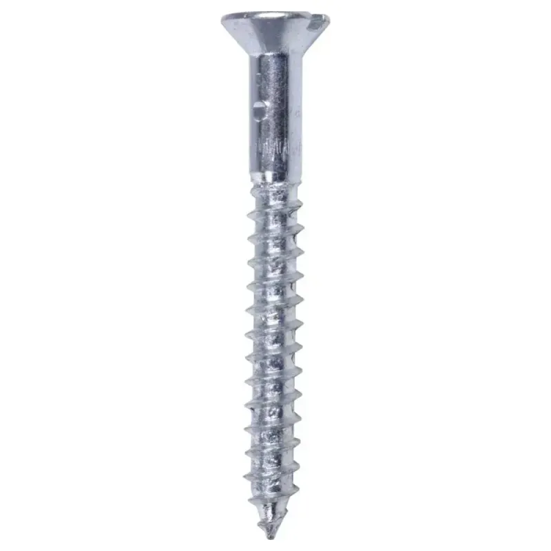 Parafuso-Cabeca-Chata-Zincado-com-Bucha-25x16mm-10-Pecas-Worker