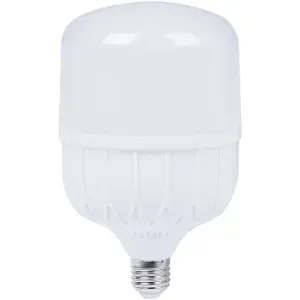 Lâmpada High Led E27 50W Branca Bivolt Liege