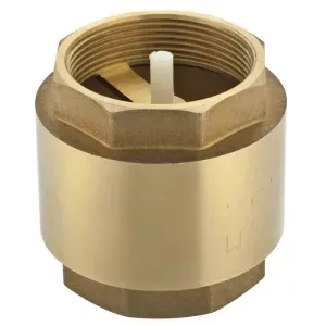 Válvula de Retenção Vertical 2" Liege