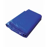Lona-Encerado-Poliet-Kala-100-Micras-5Mx9M-Az