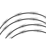 Concertina-Protetor-Perimetral-300mmx8m-Simples-Acerosid