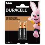 Pilha-Alcalina-Pequena-AAA-com-2-Pecas-Duracell