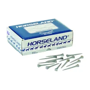 Cravo para Ferrar HL 5 200 Peças Horseland