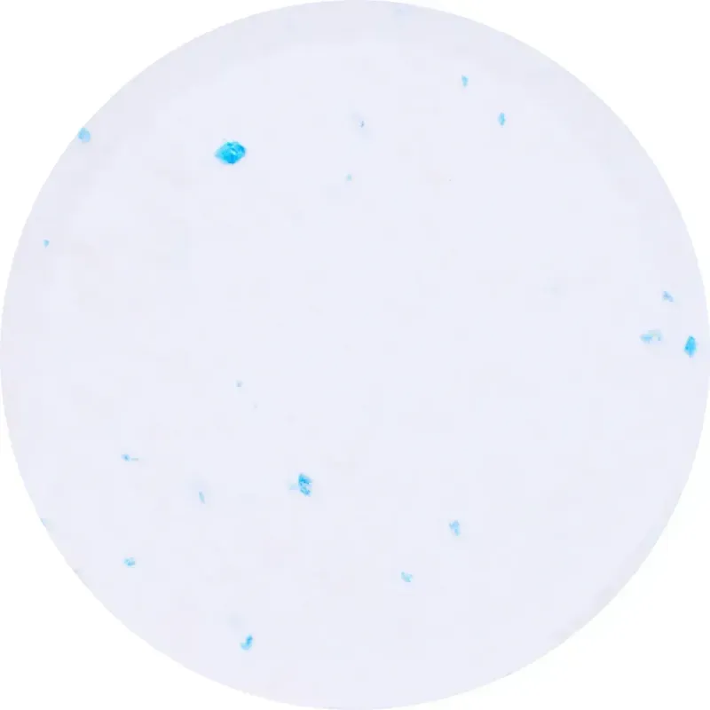 -Cloro-Estabilizador-em-Tablete-Pace-Tripla-Acao-200g-Pace
