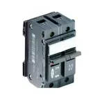 Disjuntor-bipolar-60A-220V-380V-Pial