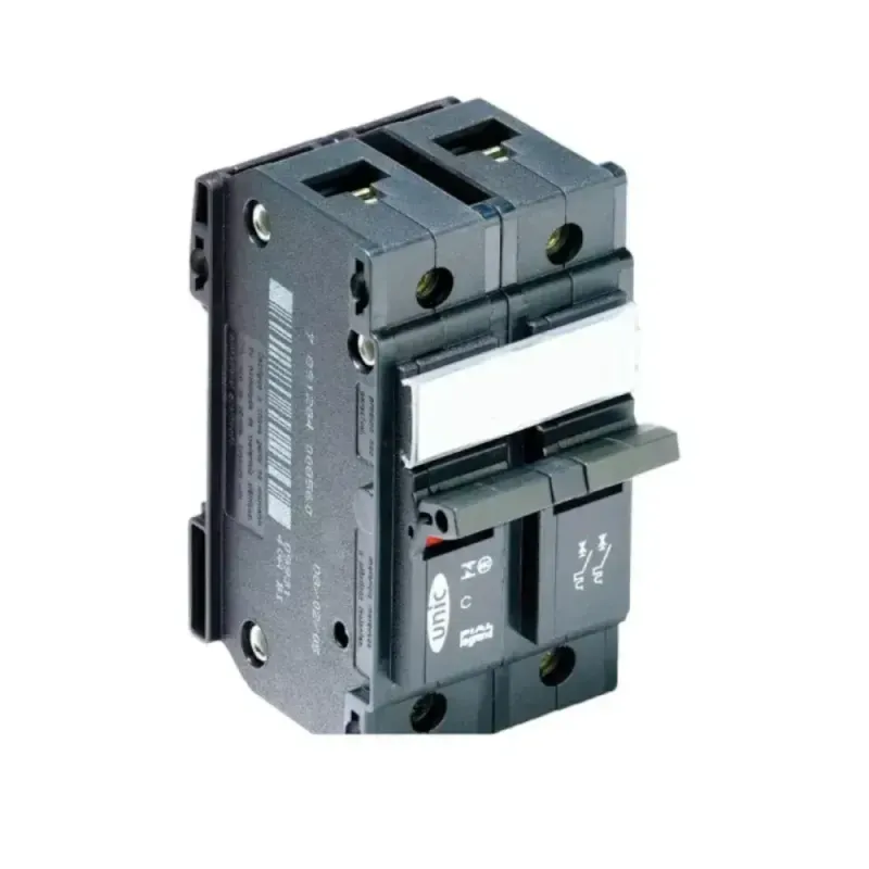Disjuntor-bipolar-60A-220V-380V-Pial