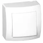 INTERRUPTOR-1TS-PIAL-10A-SISTEMA-X