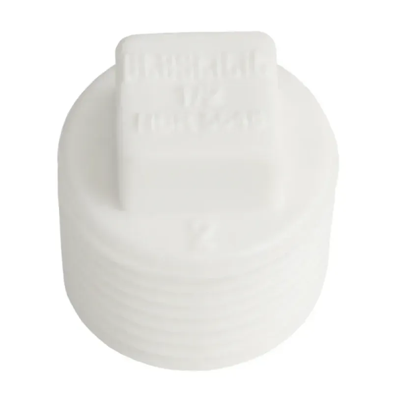 PLUG-ROSCAVEL-PLASTILIT-BRANCO-1-2-