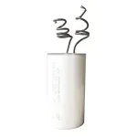 CAPACITOR-2-FIOS-LIEGE-250-VAC-60-UF-10-PECAS