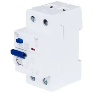 Interruptor Diferencial Residual 100a 2 Polos 30ma Rdw Weg