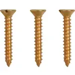 Parafuso-Madeira-Soberba-Chata-Latao-28x20mm-Ciser-500-Pcs
