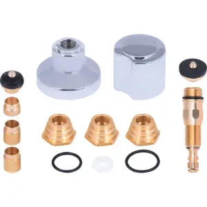 Kit Reparo para Registro de Pressão 10 em 1 C-40 Liege