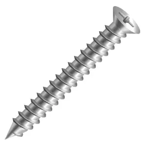 PARAFUSO MADEIRA CHATA PHILLIPS ZINC 2,5X12MM CISER 500 PÇS