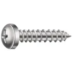 Parafuso-Auto-Atarraxante-Panela-42x13mm-500-Pecas-Worker