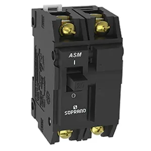 Disjuntor Nema Bipolar 70A
