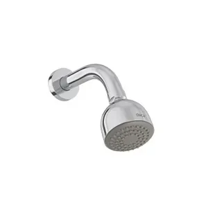 Chuveiro de Parede Max 249x221x61mm Deca