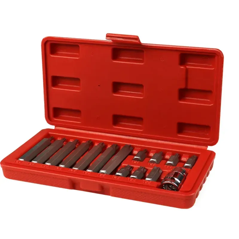 Jogo-de-Bits-Torx-Sextavado-10mm-T20-T55-com-15-Pecas-Worker