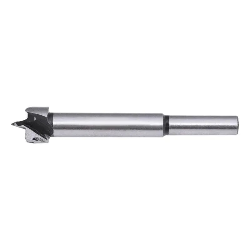 Forstner-Aco-para-Madeira-12mm-Worker